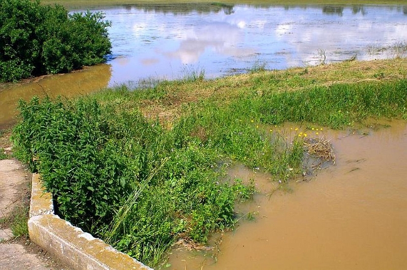 PICT4221.JPG