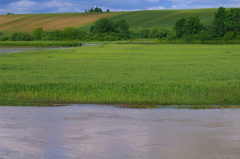 PICT4229.JPG