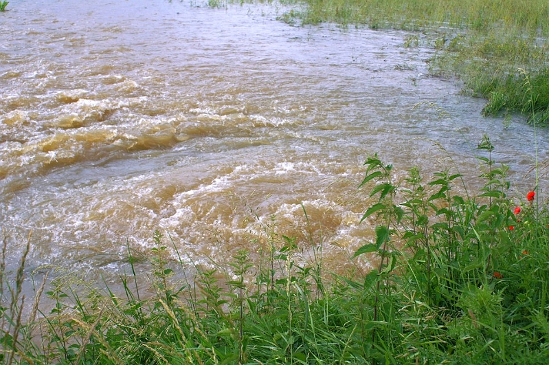 PICT4250.JPG