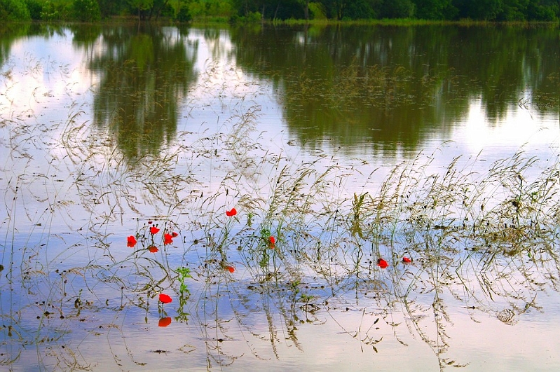 PICT4256.JPG