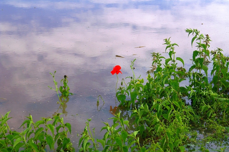 PICT4258.JPG