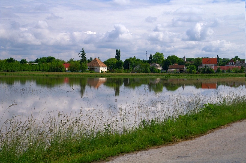 PICT4264.JPG