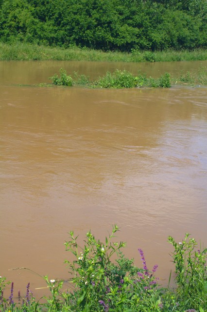 PICT4281.JPG
