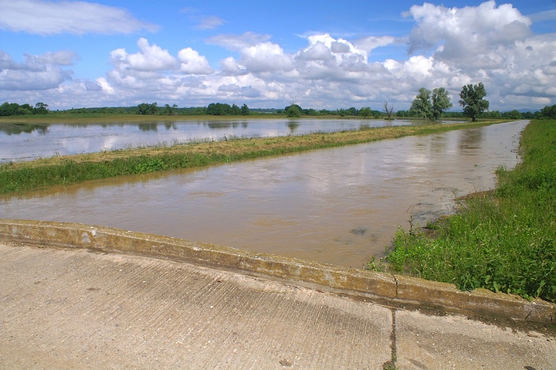 PICT4287.JPG