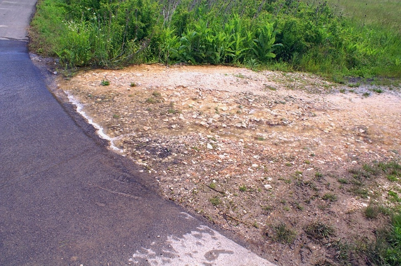 PICT4309.JPG