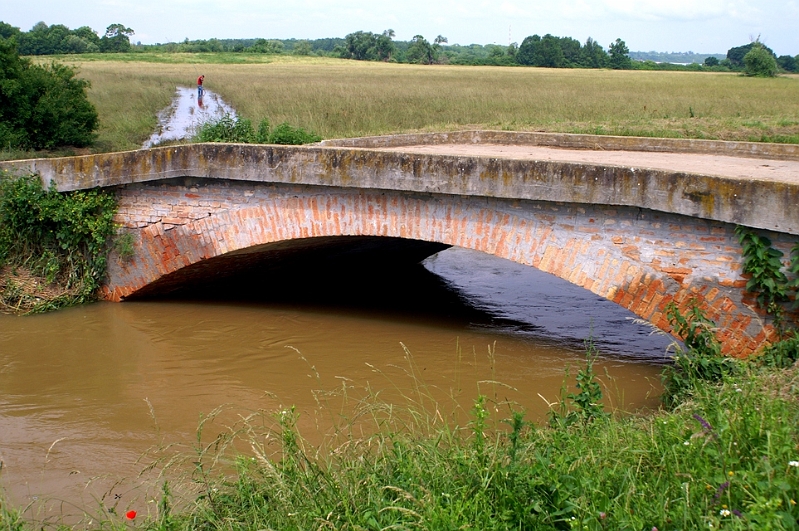 PICT4314.JPG