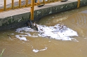 PICT4241