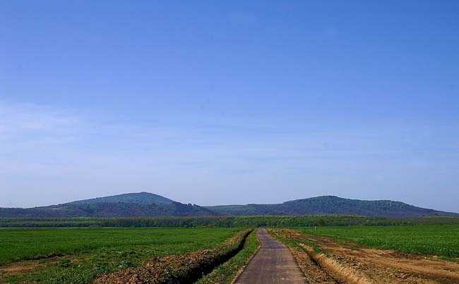 PICT4213