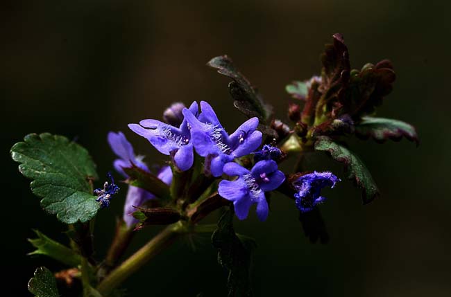 PICT5357