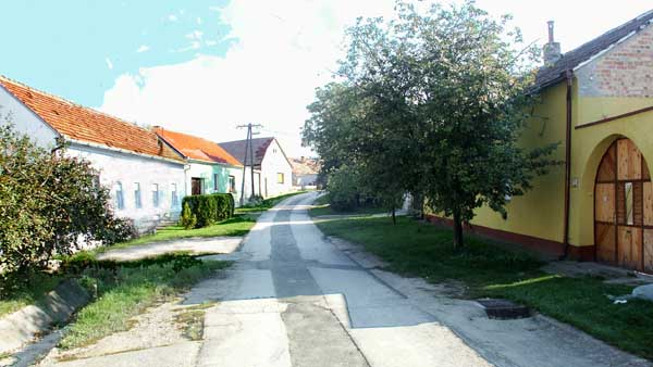 PICT0021