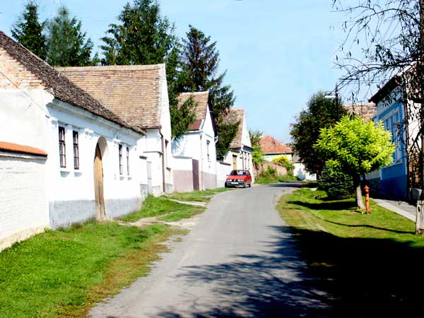 PICT0029