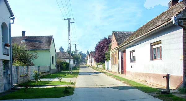 PICT0039