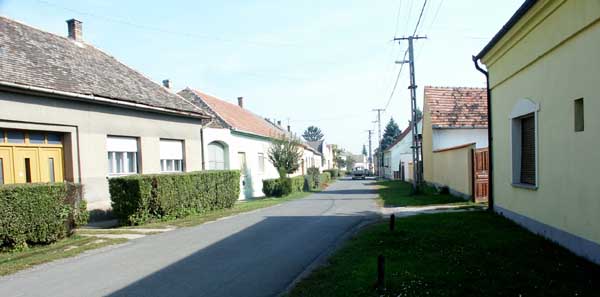 PICT0042