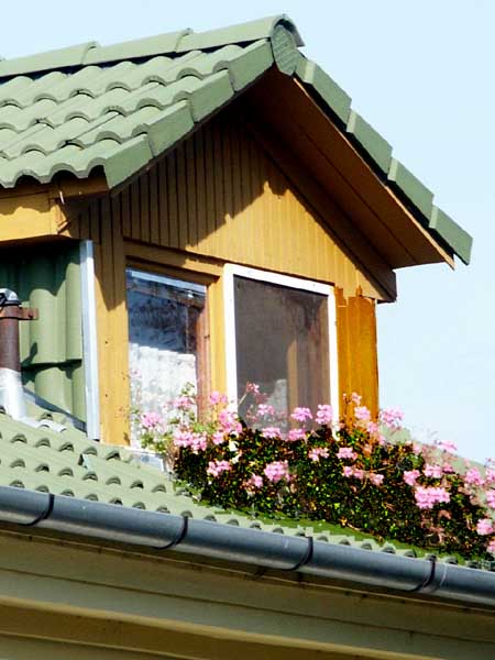 PICT0047