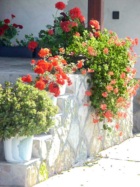 PICT0054