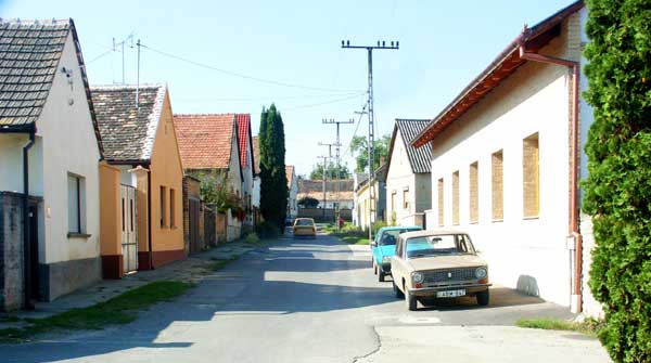 aPICT0036