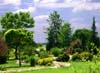 dPICT0037
