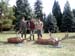 dPICT0060