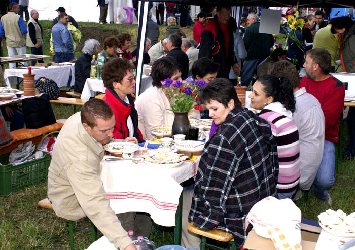 _ICT9671
