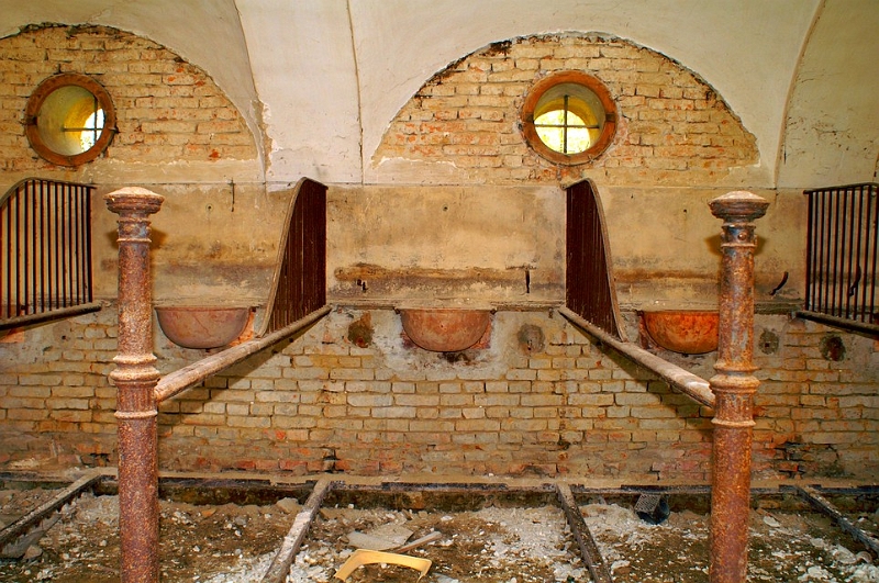 PICT3410.jpg