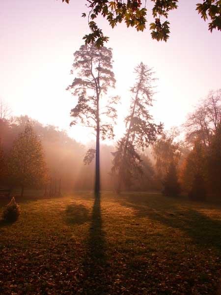Photo  27