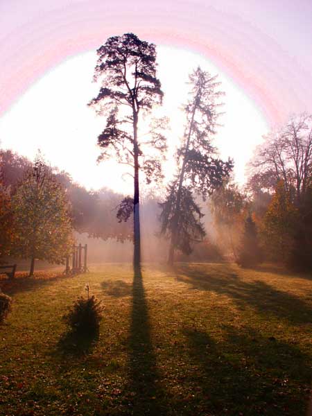 Photo  48