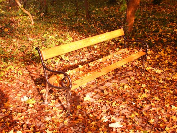 Photo  74