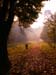 Photo  47