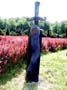 PICT0035