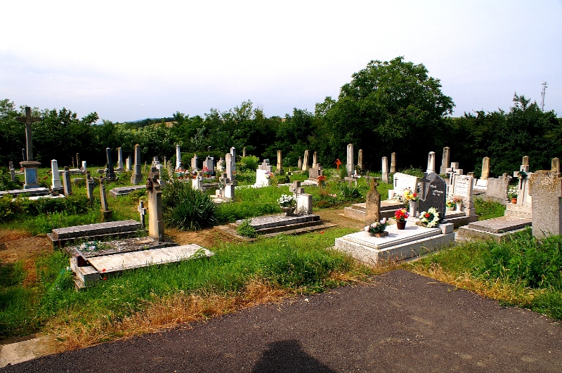 PICT0838.JPG