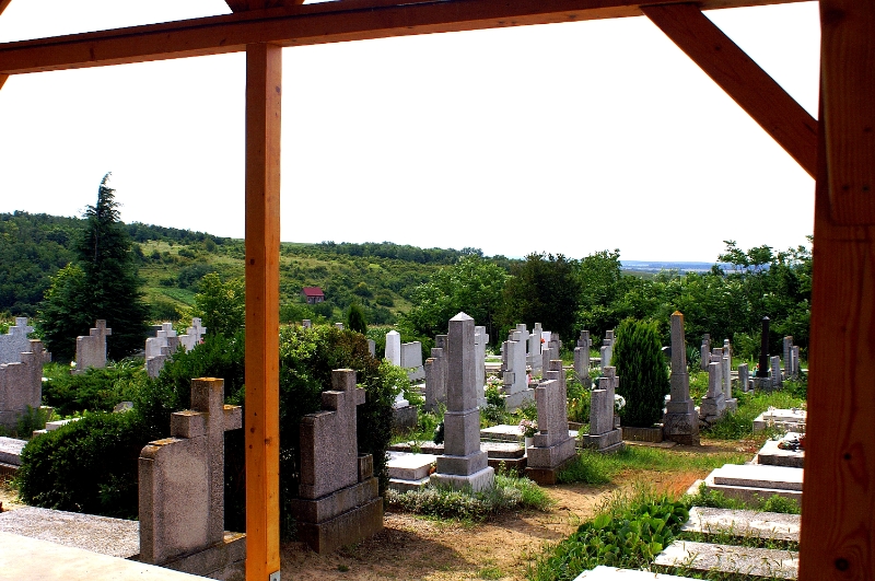 PICT0842.JPG - KONICA MINOLTA DIGITAL CAMERA