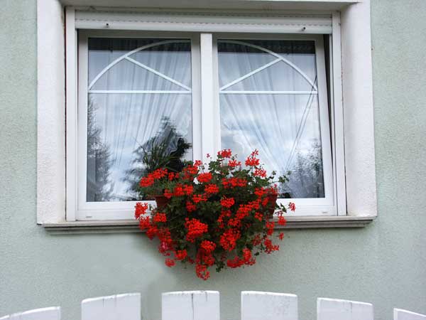 bPICT0039