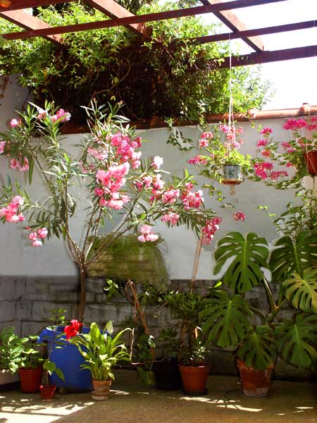 bPICT0109 m