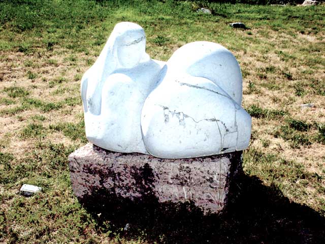 aPICT0075