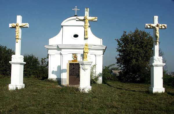 dkalvaria4