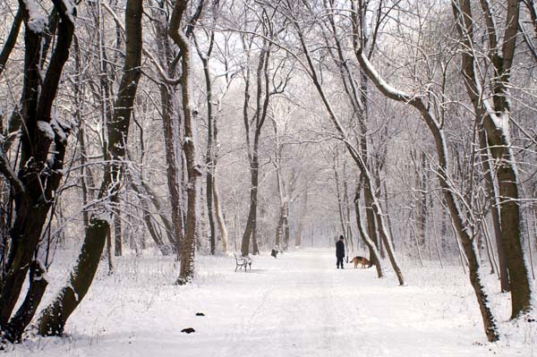 PICT0030