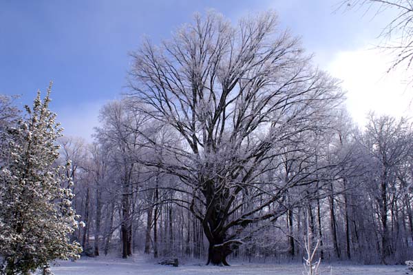 PICT0045
