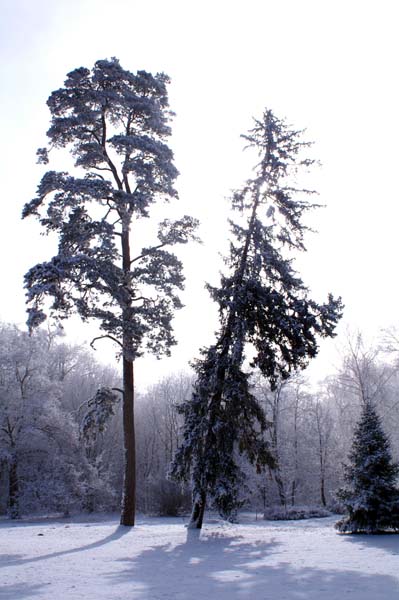 PICT0049