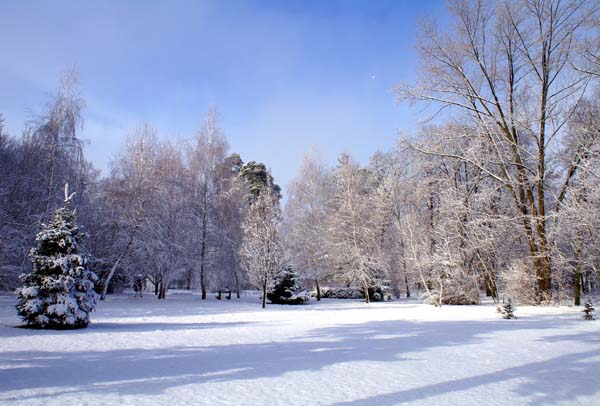 PICT0055