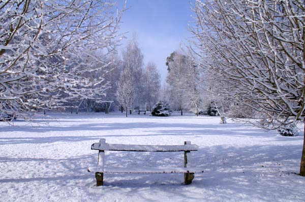 PICT0062