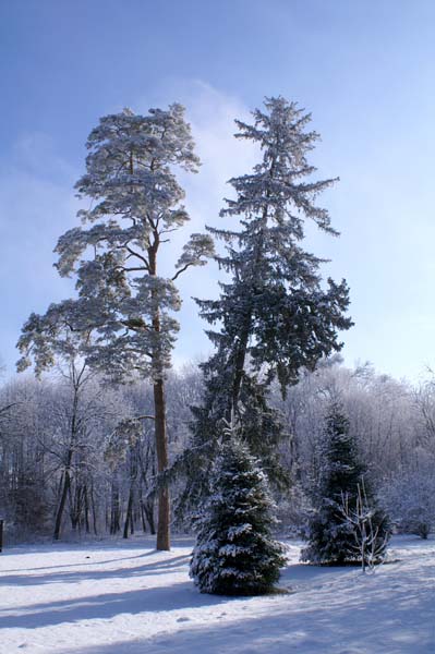 PICT0071