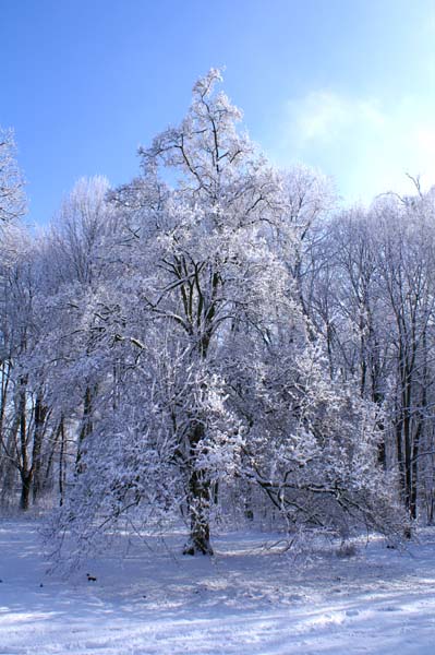 PICT0072