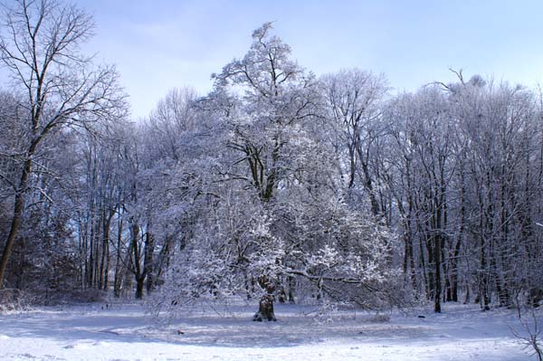 PICT0126