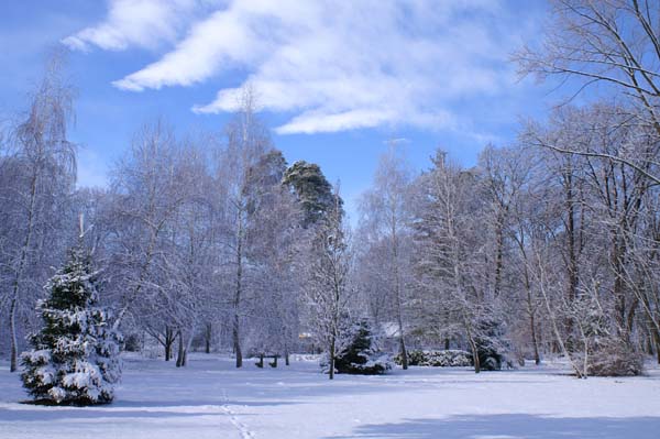 PICT0127