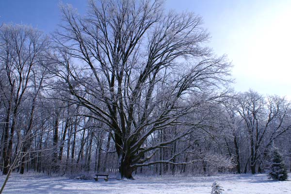 PICT0132