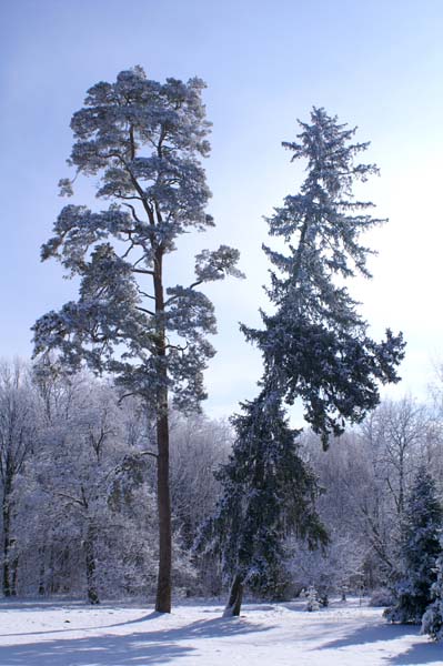 PICT0135
