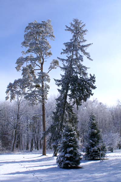 PICT0137