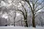 PICT0033