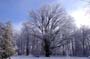 PICT0045
