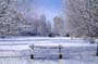 PICT0062